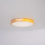 Потолочный светильник CLIP Yellow D50