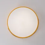 Потолочный светильник CLIP Yellow D50