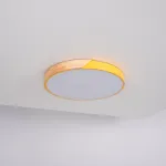 Потолочный светильник CLIP Yellow D50