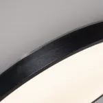 Потолочный светильник EXTRASLIM D80 Black