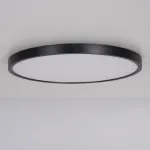 Потолочный светильник EXTRASLIM D40 Black