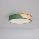 Потолочный светильник CLIP Green D30