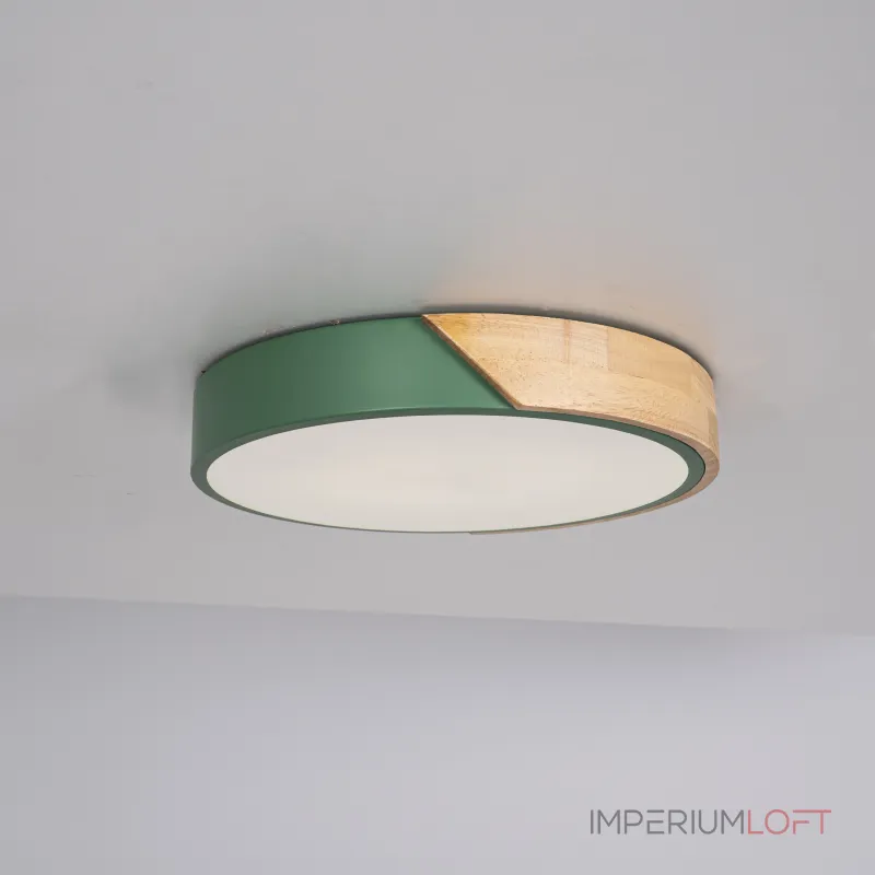 Потолочный светильник CLIP Green D30