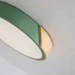 Потолочный светильник CLIP Green D30