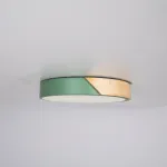 Потолочный светильник CLIP Green D30