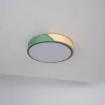 Потолочный светильник CLIP Green D30