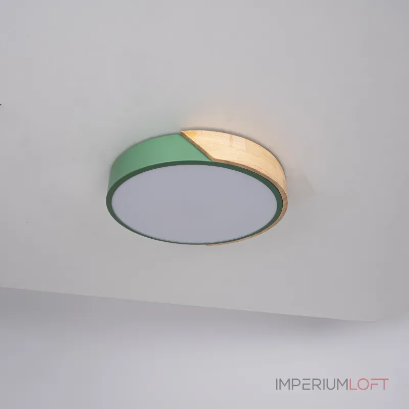 Потолочный светильник CLIP Green D30