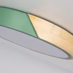 Потолочный светильник CLIP Green D30