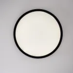 Потолочный светильник EXTRASLIM D60 Black