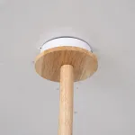 Люстра на штанге NATURA B6 White