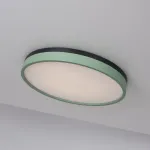 Потолочный светильник KIER D50 Green