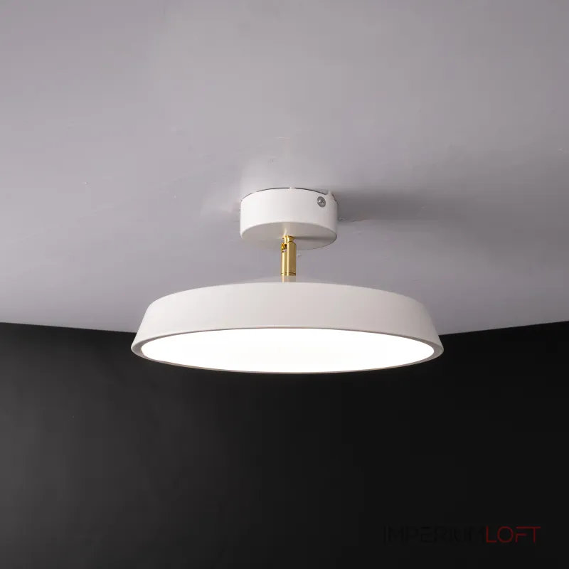 Потолочный светильник BIRK D30 White
