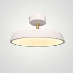 Потолочный светильник BIRK D30 White