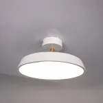Потолочный светильник BIRK D30 White