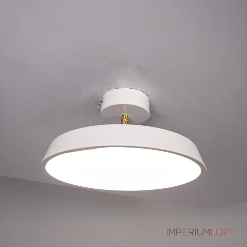 Потолочный светильник BIRK D30 White