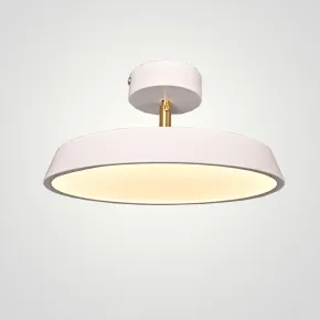 Потолочный светильник BIRK D30 White