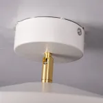 Потолочный светильник BIRK D30 White