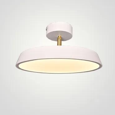 Потолочный светильник BIRK D30 White