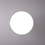Потолочный светильник BIRK D30 White