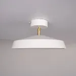 Потолочный светильник BIRK D30 White