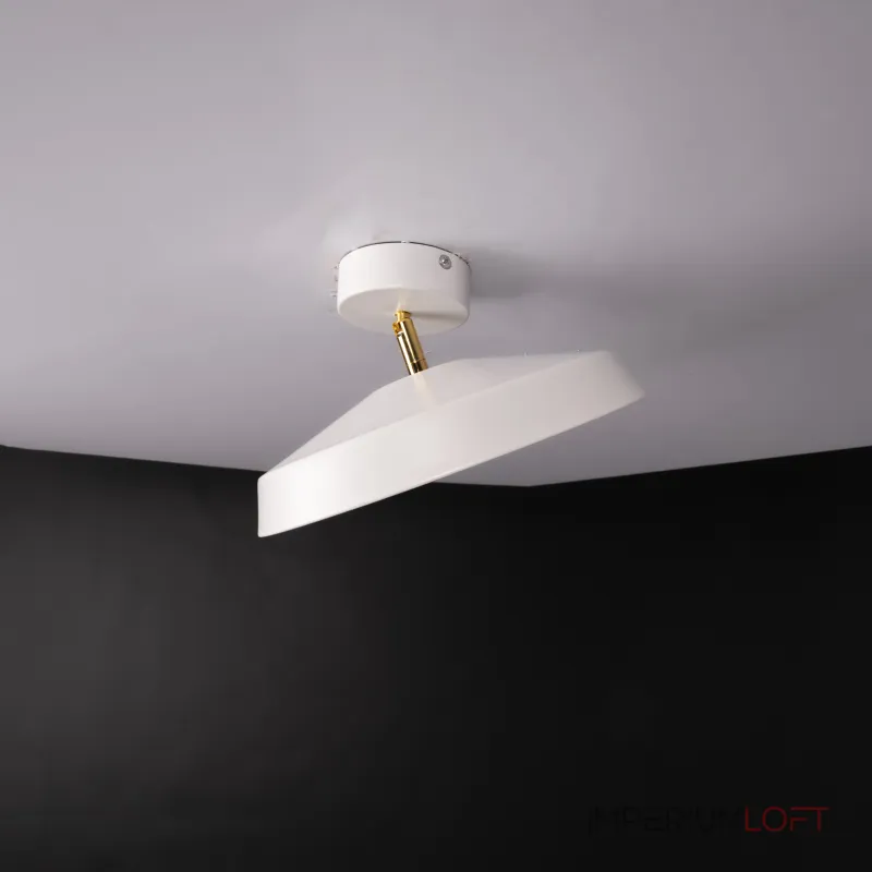 Потолочный светильник BIRK D30 White