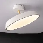 Потолочный светильник BIRK D30 White