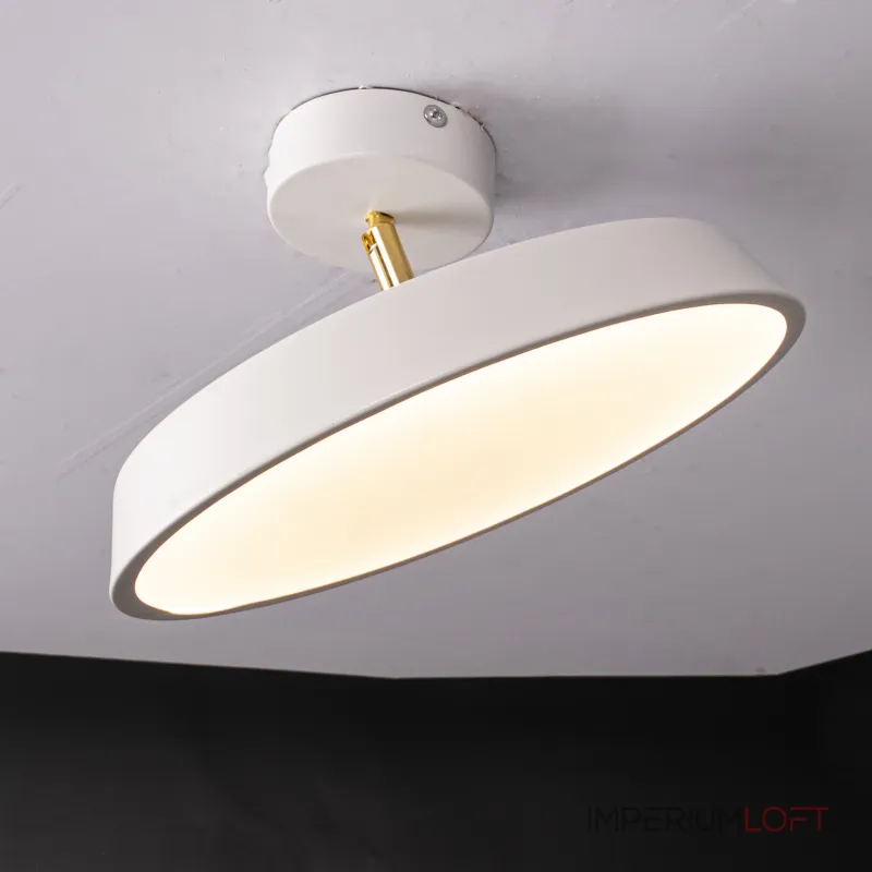 Потолочный светильник BIRK D30 White