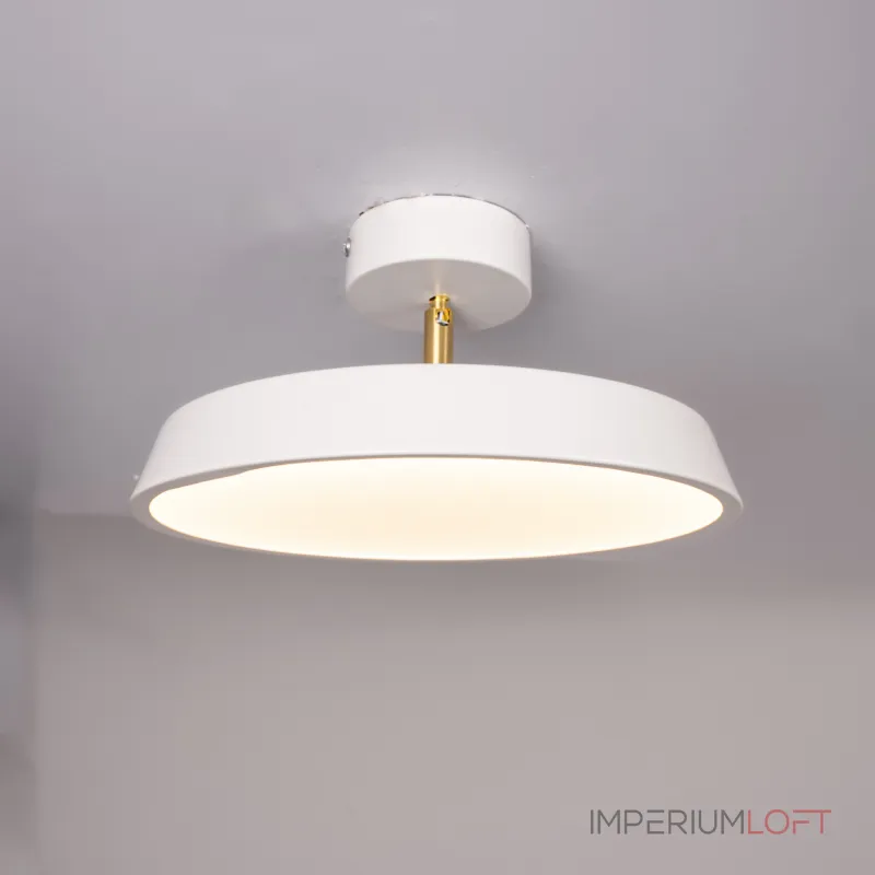 Потолочный светильник BIRK D30 White