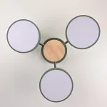 Потолочная люстра MOVE 3 Green