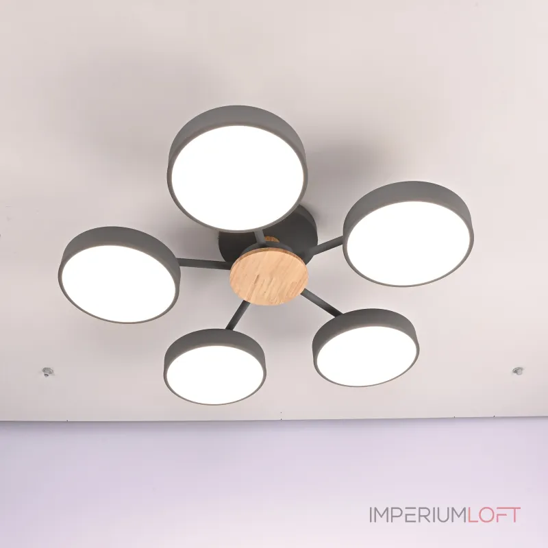 Потолочная люстра MOVE 5 Gray