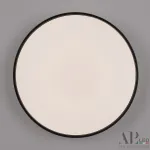 Светильник потолочный APL LED Toscana PRO 3315.XM302-2-374/24W Black от ImperiumLoft