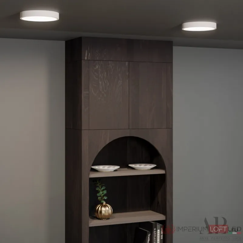 Светильник накладной светодиодный APL LED Ingrid 3322.LDY1604M/12W/6K от ImperiumLoft