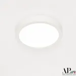Светильник накладной светодиодный APL LED Ingrid 3322.LDY1604M/12W/6K от ImperiumLoft Светильник накладной светодиодный APL LED Ingrid 3322.LDY1604M/12W/6K от ImperiumLoft