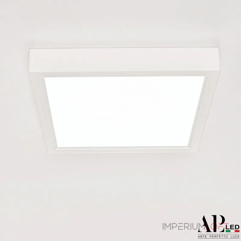 Светильник накладной светодиодный 3322.LDF1604M/12W/6K APL LED от ImperiumLoft