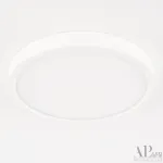 Светильник накладной светодиодный APL LED Ingrid 3322.LDY2004M/18W/6K от ImperiumLoft