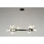 Подвесная люстра Aployt Feliche APL.334.03.14