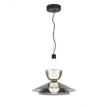 Светильник подвесной Aployt Daga APL.772.16.12 Светильник подвесной Aployt Daga APL.772.16.12