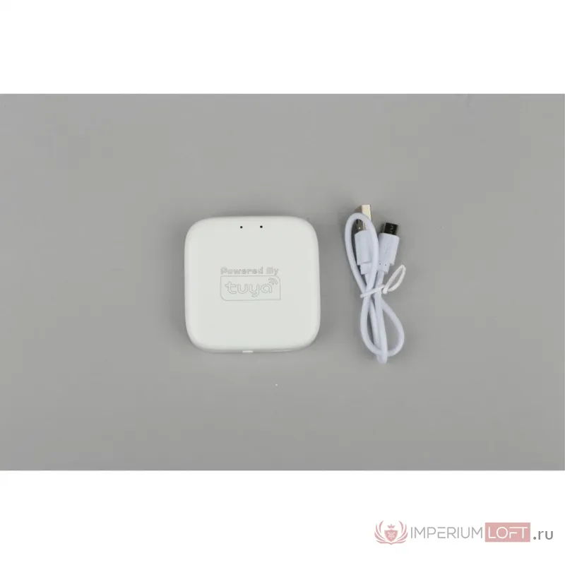Конвертер для трековой системы Magnetic track 220 Aployt APL.0295.00.01 от ImperiumLoft