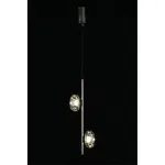 Подвесной светильник Aployt Tereze APL.074.16.02