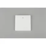 Выключатель одноклавишный Aployt Magnetic track 220 APL.0190.00.01 от ImperiumLoft