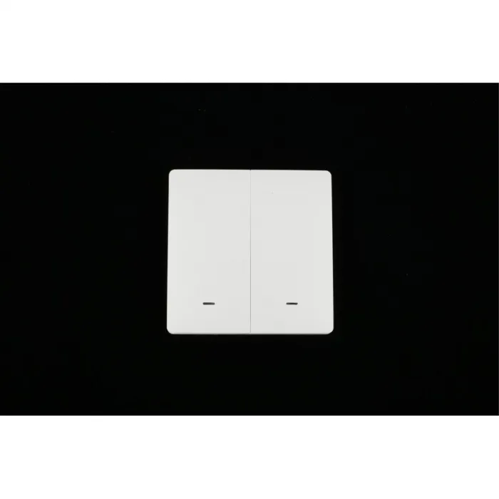 Выключатель двухклавишный Aployt Magnetic track 220 APL.0190.00.02 от ImperiumLoft