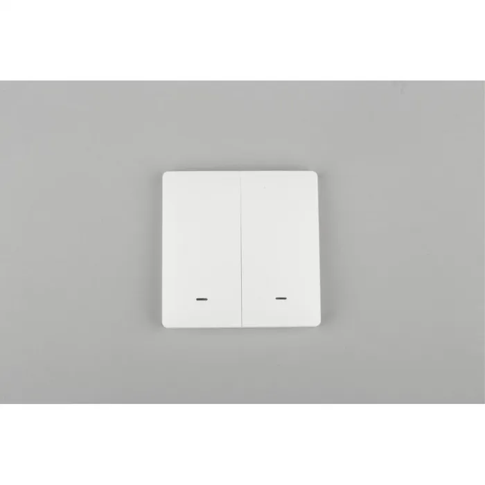 Выключатель двухклавишный Aployt Magnetic track 220 APL.0190.00.02 от ImperiumLoft