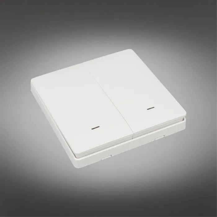Выключатель двухклавишный Aployt Magnetic track 220 APL.0190.00.02 от ImperiumLoft