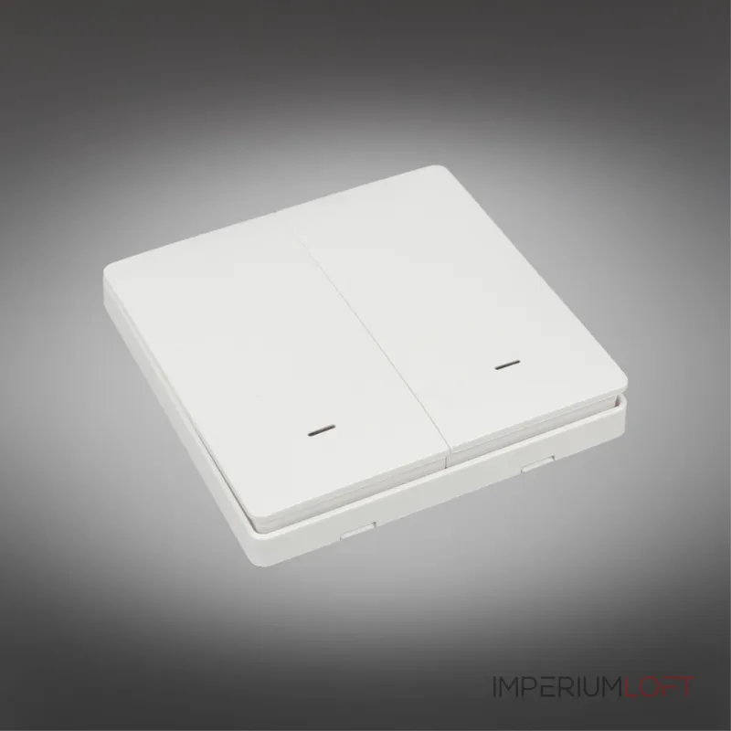 Выключатель двухклавишный Aployt Magnetic track 220 APL.0190.00.02 Выключатель двухклавишный Aployt Magnetic track 220 APL.0190.00.02