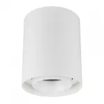 Arlight Светильник SP-FOCUS-R132-24Вт Warm3000 WH 24 deg 230В IP54 054841