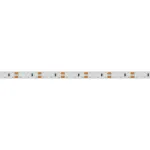 Arlight Лента RT-A120-8mm 12В Red 9.6 В/м IP20 2835 5м 9.6 Вт/м IP20 012329(2)