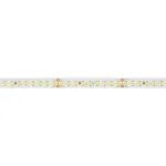 Arlight Лента RT-A144-10mm 24В White6000 7.7 В/м IP20 2835 5м высок.эфф.200 лм/Вт 038783