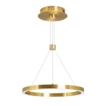 Arlight Светильник SP-CONGO-CAN-1-R400-24Вт Warm3000 GD 120 deg 230В IP20 046209