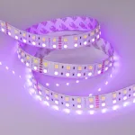 Arlight Лента RT-B144-19mm 24В RGBW-White 32 В/м IP20 5060 5м 32 Вт/м IP20 011823(2)