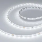 Arlight Лента RT-A60-8mm 24В White6000 4.8 В/м IP20 2835 5м 011504(2)